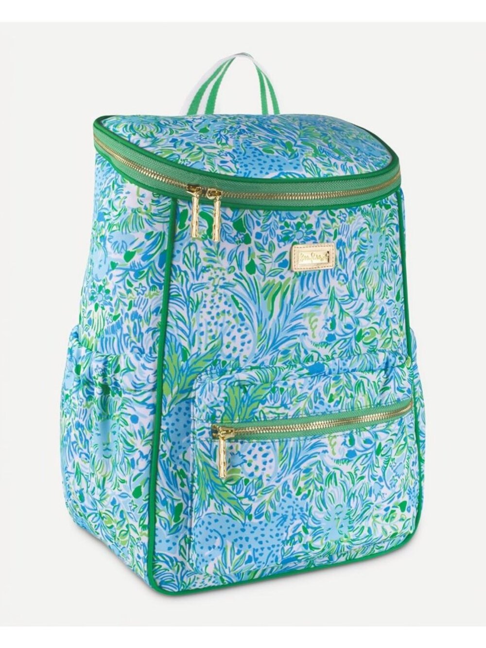 Large Capacity Insulated Backpack Cooler Bag - Green Soft Cooler for Picnics